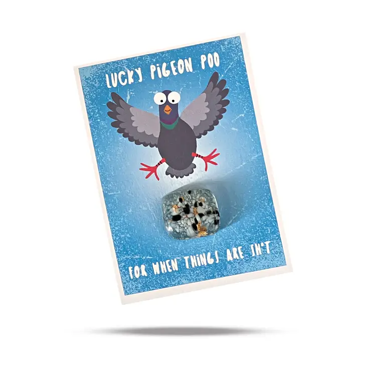 Lucky Pigeon Poo Charm